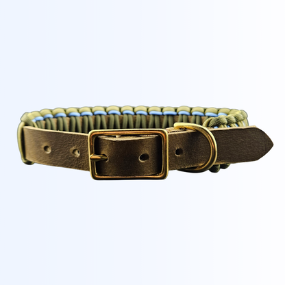 3512 HUNDEHALSBAND Oliv Oliv Sky