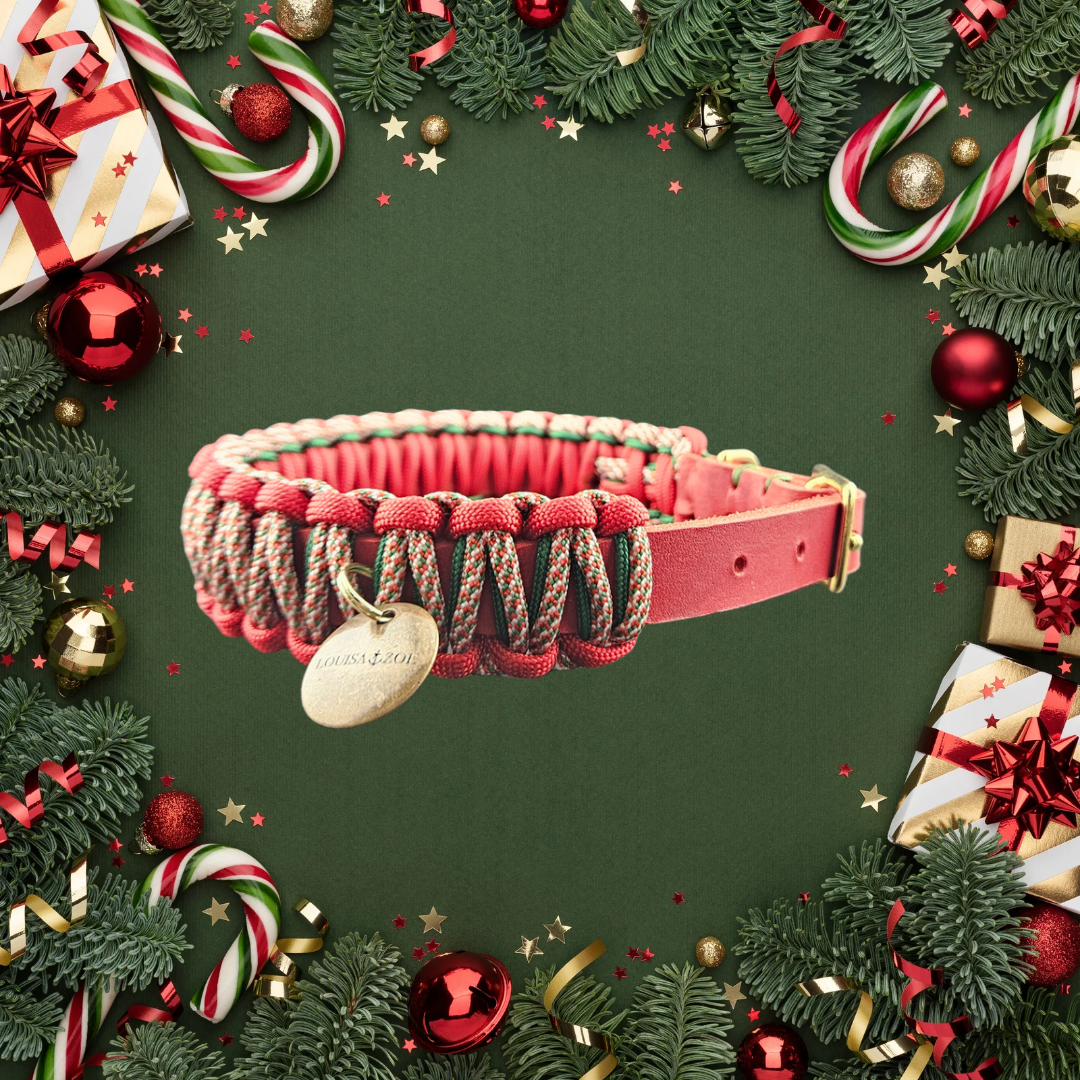 2025 Hundehalsband Limitierte Xmas Edition Rot Grösse S (30-38cm) 2,0cm Lederbreite